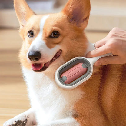 Pet Hair Remover Brush